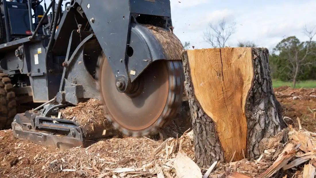 Stump Removal